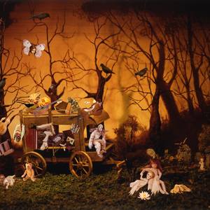 A Lotus on New York Streams