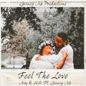 Feel The Love (feat. Gooney Jib)