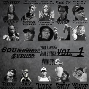 SoundWave $ypher, Vol. 1 (feat. DonPeezy, Bloso Santana, Rela Pimpin, GmoTy, Real Deal, Relly Ru, Liya Lone, Cameron Camrah, WoodMan, Cue Trap-A-Lot, Rico Suavay, JayBxndz, TLG Zippa, Stïn & Wave) [Explicit]