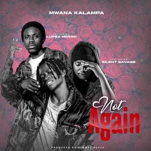 Not again (feat. Lupez mr5in1 & Silent savage)