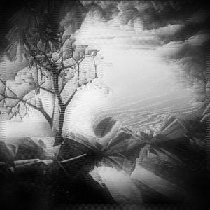 Hatchetsaw - WINTER LOTUS (Explicit)