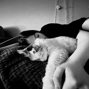 Papatyalardan Tac (Explicit)