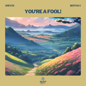 You're a fool! (feat. Bertha S)