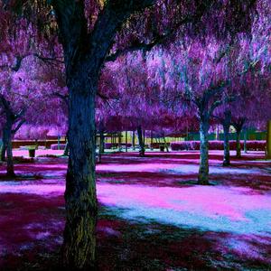 Be Like That (Explicit)