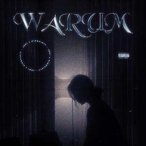 Warum(feat. Kidnxiety) (Explicit)