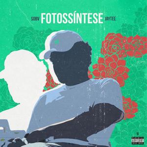 Fotossíntese