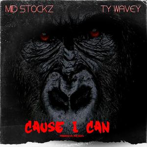 Cause I Can (feat. Ty Wavey) [Explicit]