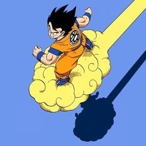 No Fly Zone 2 (feat. savyreallx) (Explicit)