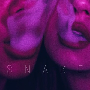 SNAKE (Explicit)