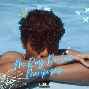 Mi Rey De Las Mariposas