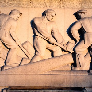 Year of the Pig (猪年)