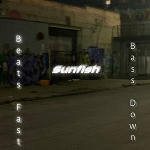 Beats Fast Bass Down (Explicit)