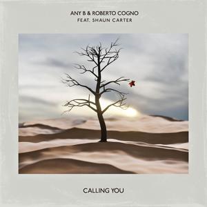 Calling You (feat. Shaun Carter)