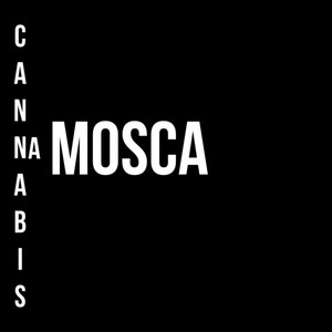 Cannabis na Mosca