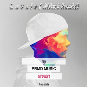 Levels (Atfort Remix)