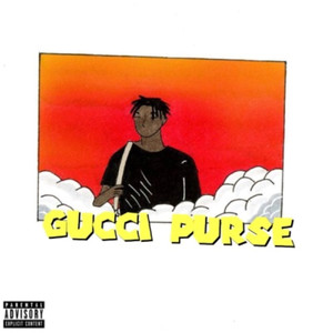 Gucci Purse