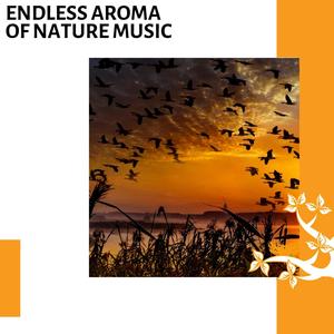 Stress Reliever Fire Sound