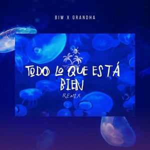 TODO LO QUE ESTÁ BIEN (AFROHOUSE REMIX)