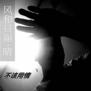 不该用情