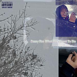 Bat (feat. boiscry) (Explicit)