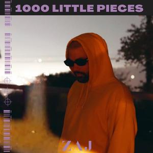 1000 Little Pieces