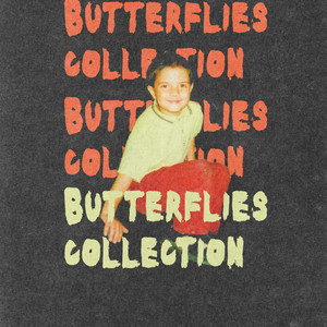 Butterflies collection