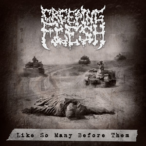 Like So Many Before Them