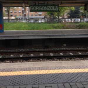 GORGO CITY (Explicit)