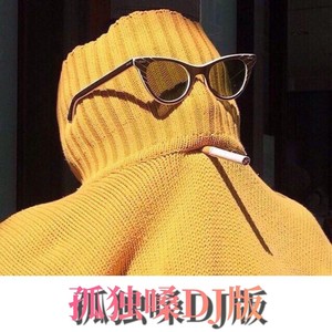 我是真的爱上你 (孤独嗓DJ版)