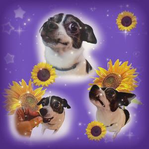 The Parable of Martini (feat. MUNDO*) (Explicit)