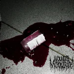 gone to waste (Remastered)