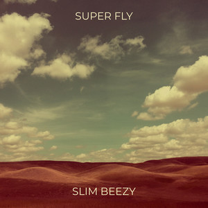 Super Fly (Explicit)