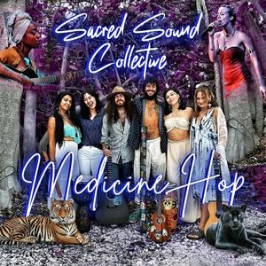 We Are Not Alone (feat. j. Denèe, Vejji King & Skyler Golden)