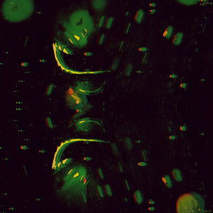 Where Have You Been (Explicit)