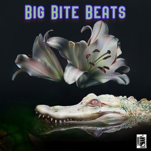 Big Bite Beats