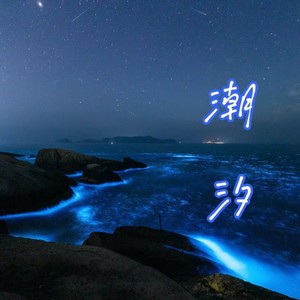 总有一些话来不及说了-路小婉