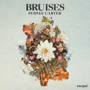 Bruises (Explicit)