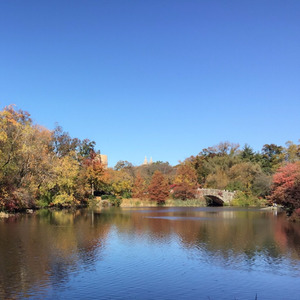 流眼泪的美人鱼