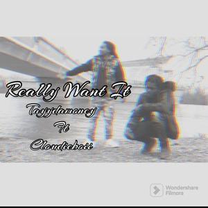 Really Want It (feat. Tayymoney) (Explicit)