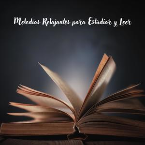 Concentración Perfecta