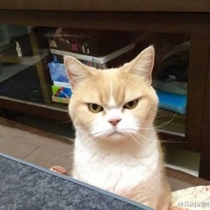 可能否