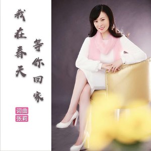 我在春天等你回家
