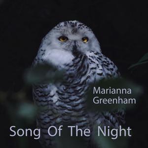 Song Of The Night(feat. Jill Cooper, Mike Hyder, Belinda Leonard & Rinanda)