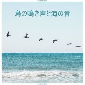 鳥の鳴き声と海の音–ピアノの器楽、リラックス瞑想、マインドフルネス、睡眠のための子守唄で自然の音をリラックス