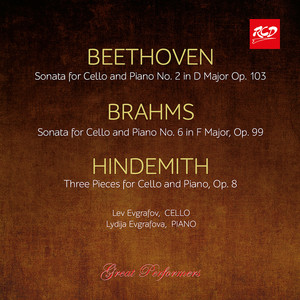Sonata for Cello and Piano No. 2 in F Major, Op. 99: III. Allegro  passionato