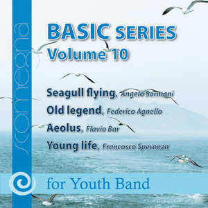 Basic Series Vol. 10