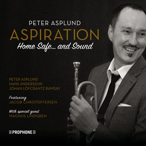 Yesterday I Heard the Rain (Esta tarde vi llover)