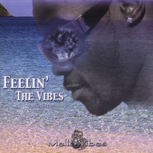 Feelin' The Vibes - (Steel Drums)