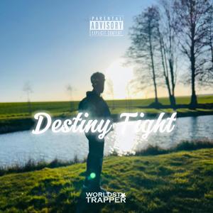 Destiny Fight