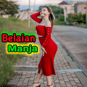 Belaian Manja